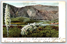 San Bernadino CA-California, Arrowhead Mountain, Antique Vintage 1906 Post Card picture